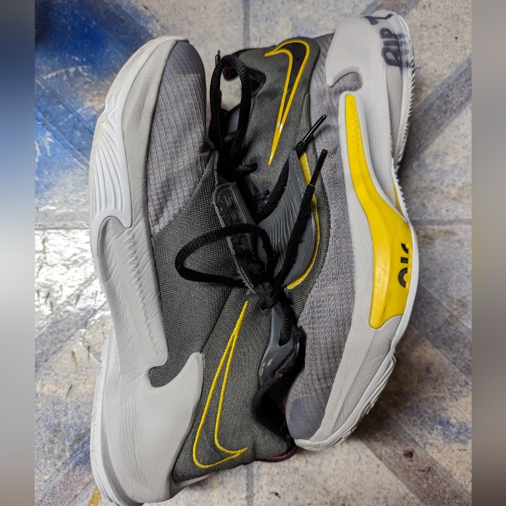 Giannis Zoom Freak 3, size 10 men's basketball shoes